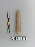 藏品(獸骨)的圖片